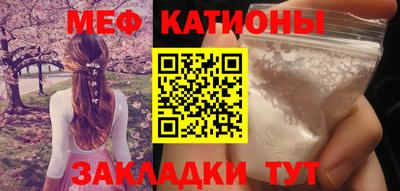 стаф Шелехов