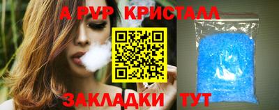 стаф Шелехов