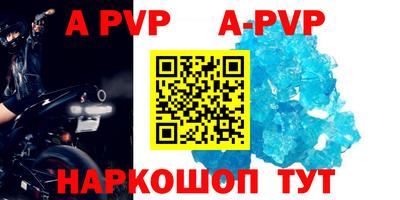 стаф Шелехов