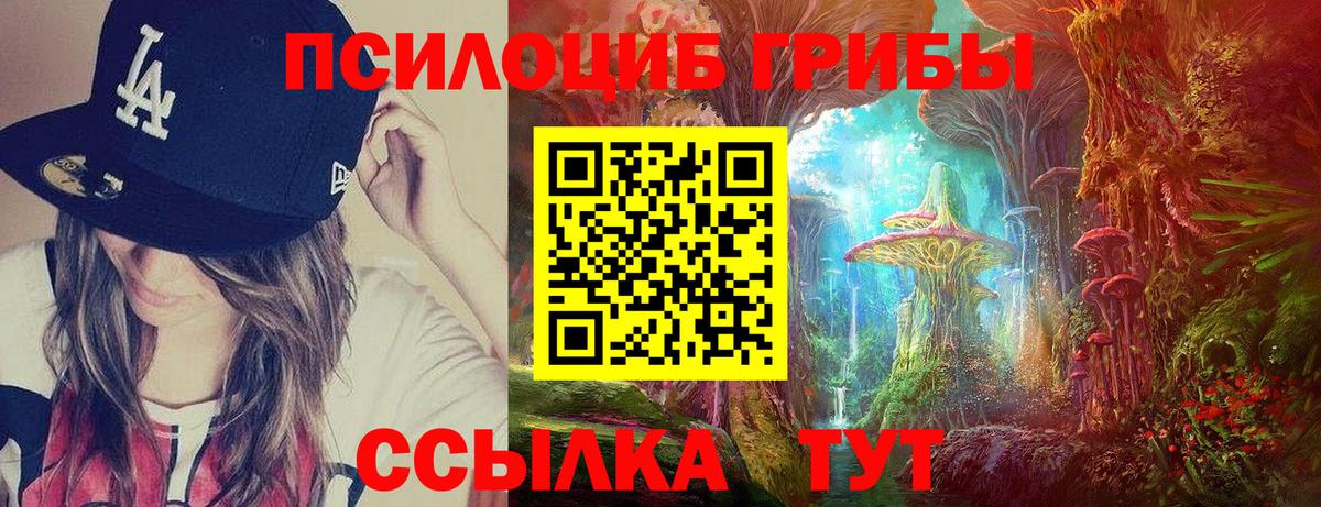 Псилоцибиновые грибы мухоморы Курчатов