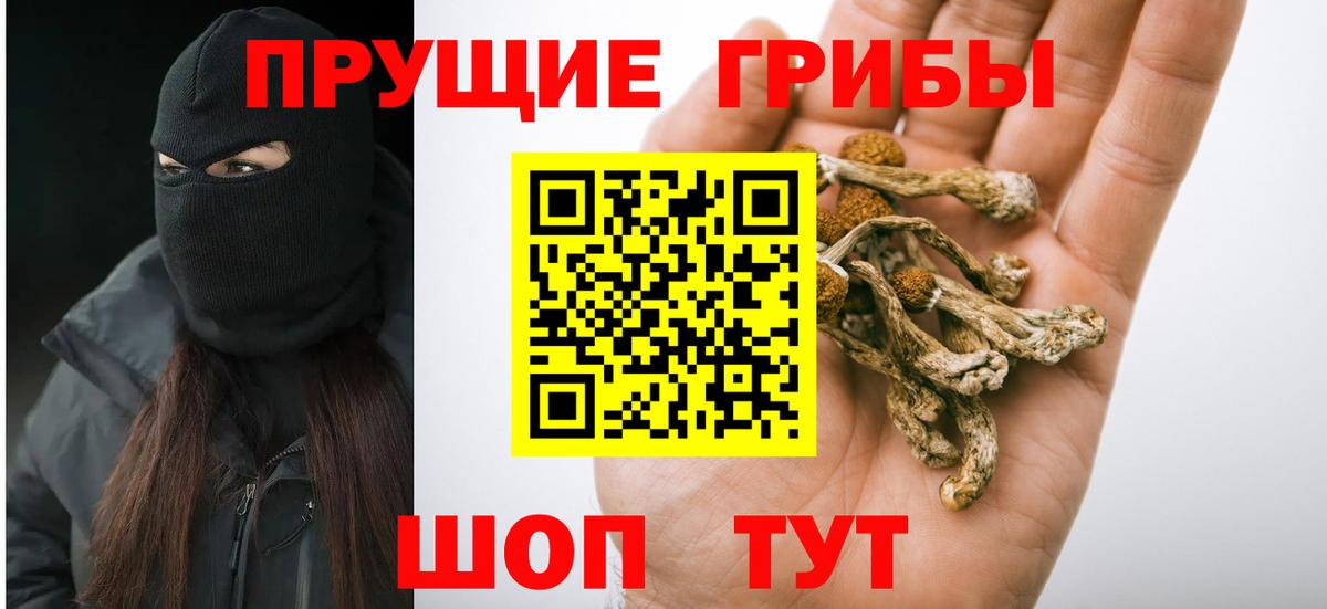 Псилоцибиновые грибы MAGIC MUSHROOMS  Вход с VPN  Курчатов 